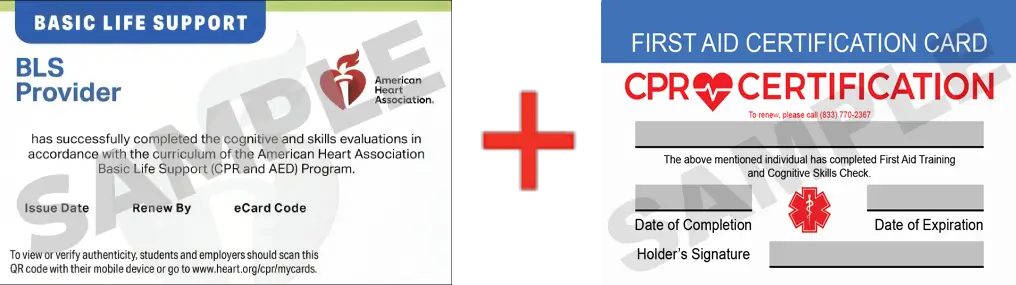 Sample American Heart Association AHA BLS CPR Card Certificaiton and First Aid Certification Card from CPR Certification Memphis