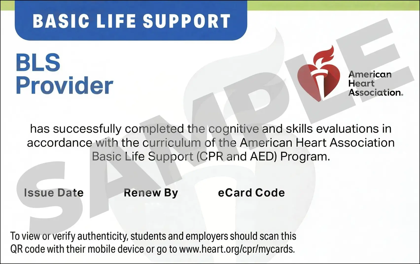 Sample American Heart Association AHA BLS CPR Card Certification from CPR Certification Memphis